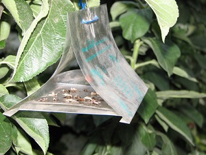 Agroprotekt doo Feromonske klopke za insekte